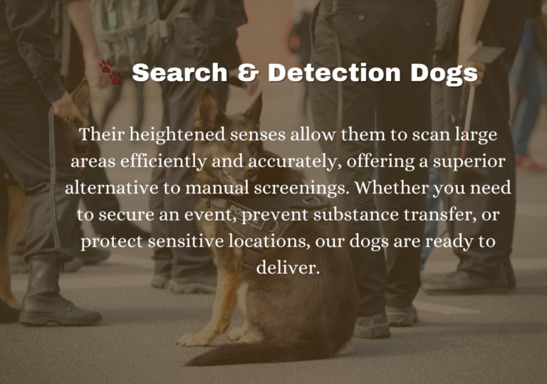 Untitled (1920 x 928 px) (1012 x 674 px) (633 x 476 px) (1024 x 1024 px) (23)