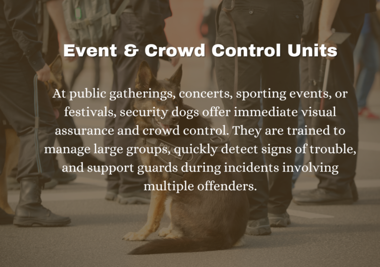 Untitled (1920 x 928 px) (1012 x 674 px) (633 x 476 px) (1024 x 1024 px) (24)